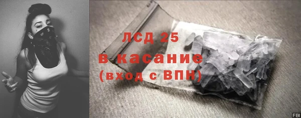 прущие грибы Балахна