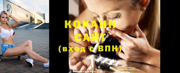 твердый Арсеньев