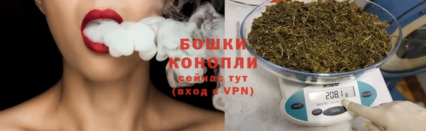 мдпв Няндома