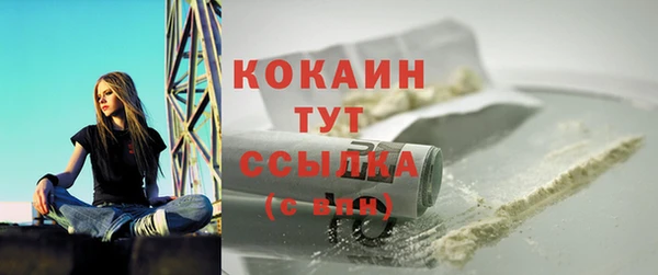 прущие грибы Балахна