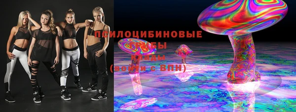 прущие грибы Балахна
