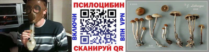 Галлюциногенные грибы Psilocybe  Зима 